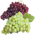 grapes