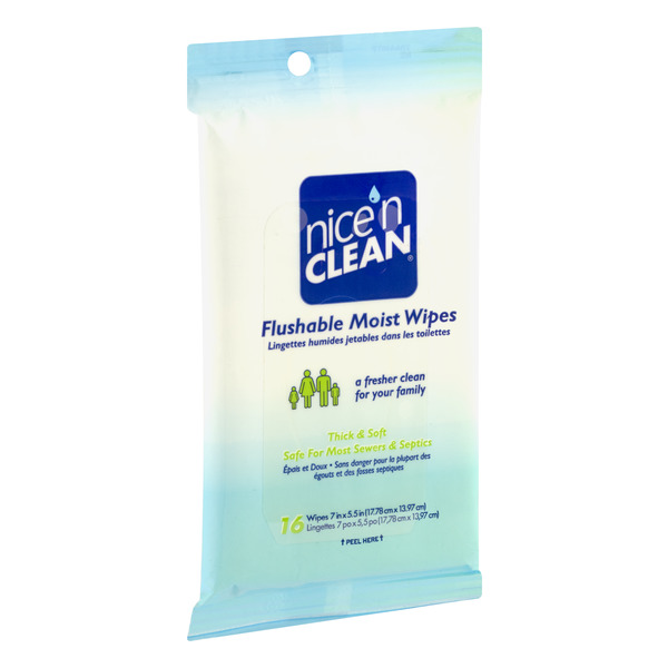 Nice 'N Clean Flushable Moist Wipes - 16 CT