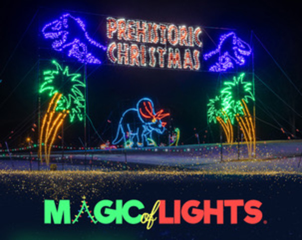 Magic of Lights Ticket - Cuyahoga County Fair Grounds